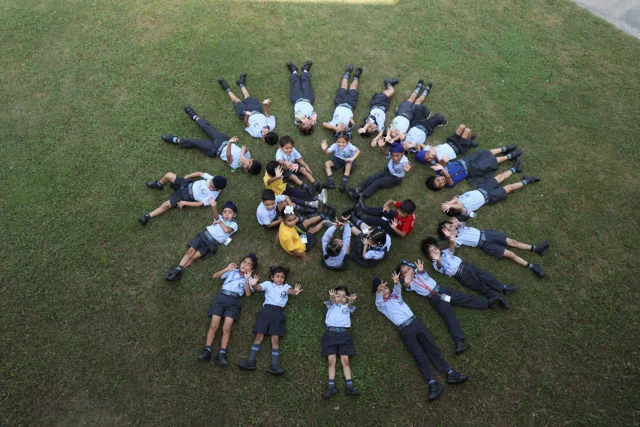Outdoor group activity on the lawn