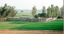 Agriculture Farm