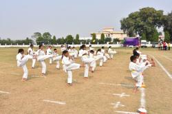 yoga activity