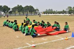activity
