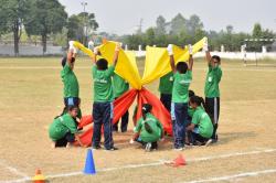 activity