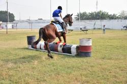 Our Riders