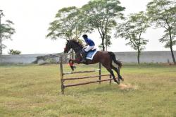Our Riders