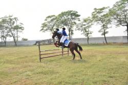 Our Riders
